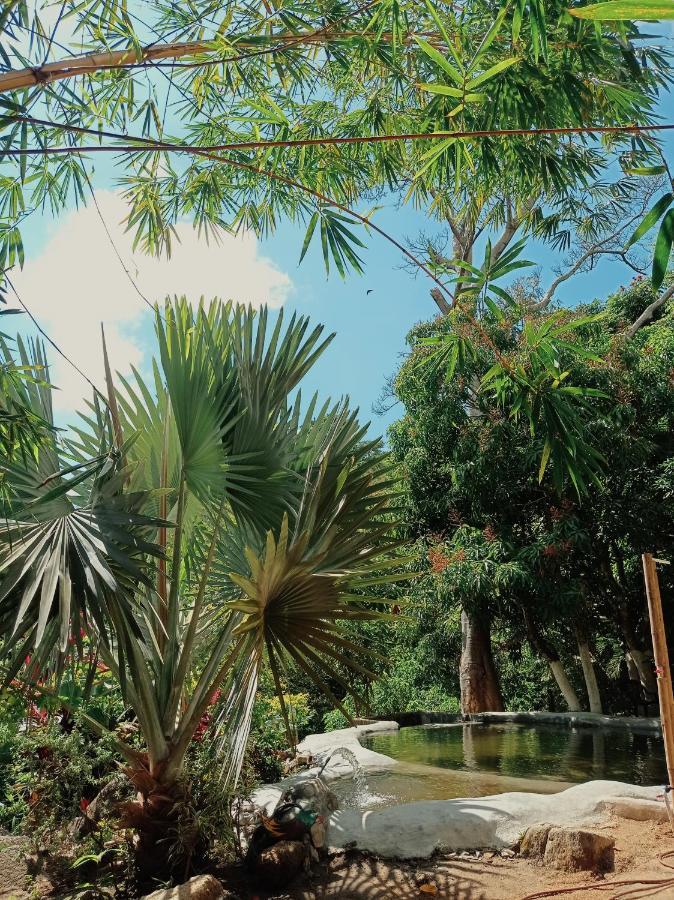 Hostal Dos Quebradas Santa Marta Dış mekan fotoğraf